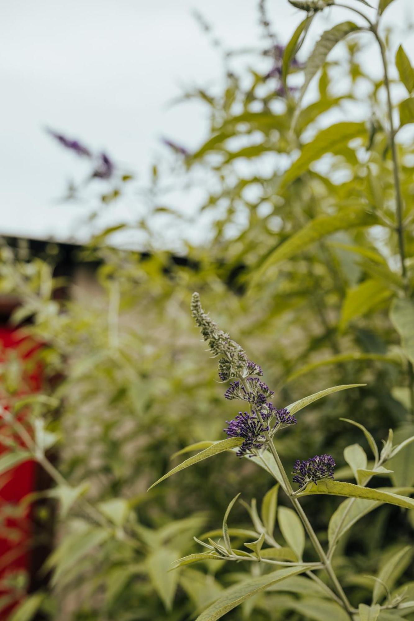 Oakhurst Farm Cottages Wilderness Eksteriør bilde